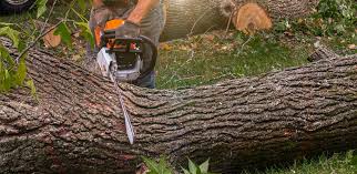 Best Aeration Services  in La Honda, CA